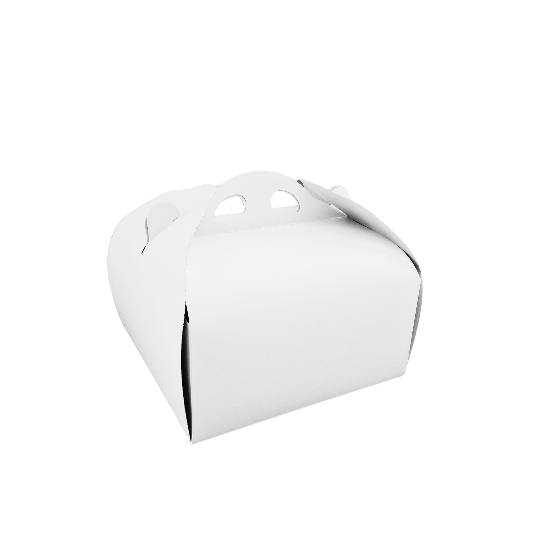 Cutie tort CT1A Thumb